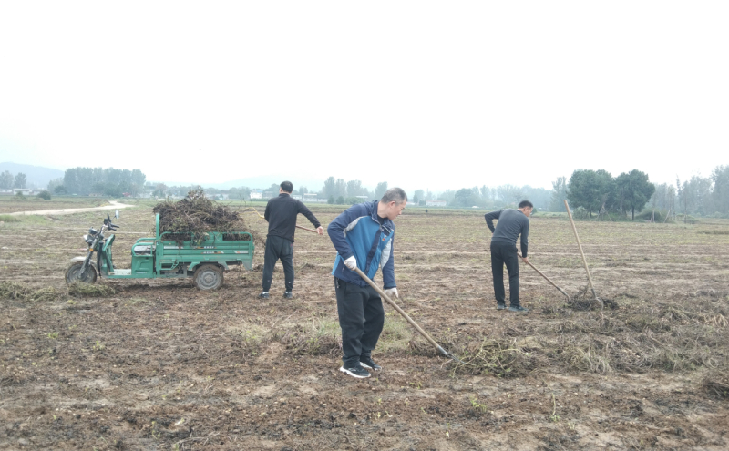郏县总工会到李口镇闫集村开展助农秋收志愿服务活动