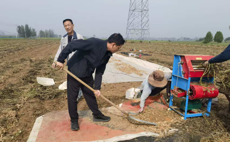 驻村干部助秋收 暖心为民映初心