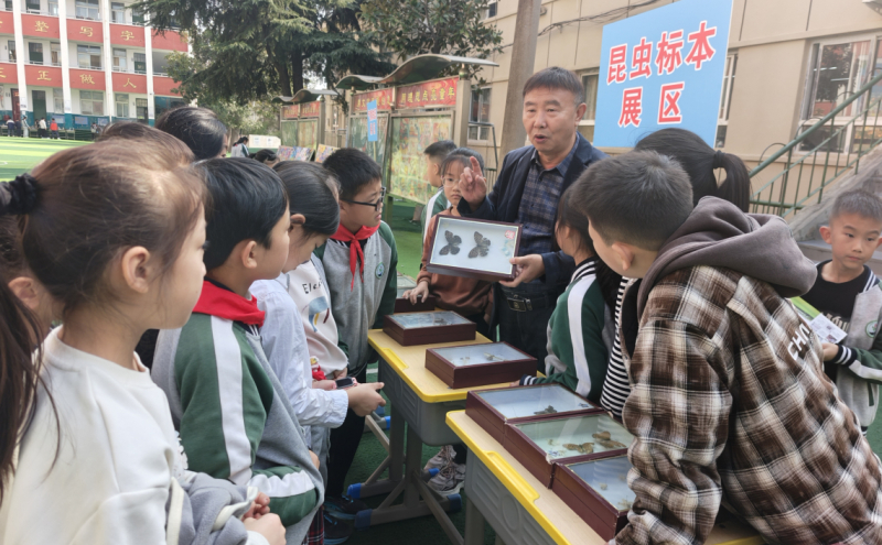 舞钢市第三小学宣讲现场